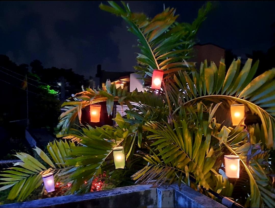 How to Start a Dansal: A Practical Step-by-Step Guide — Vesak festival in Sri Lanka